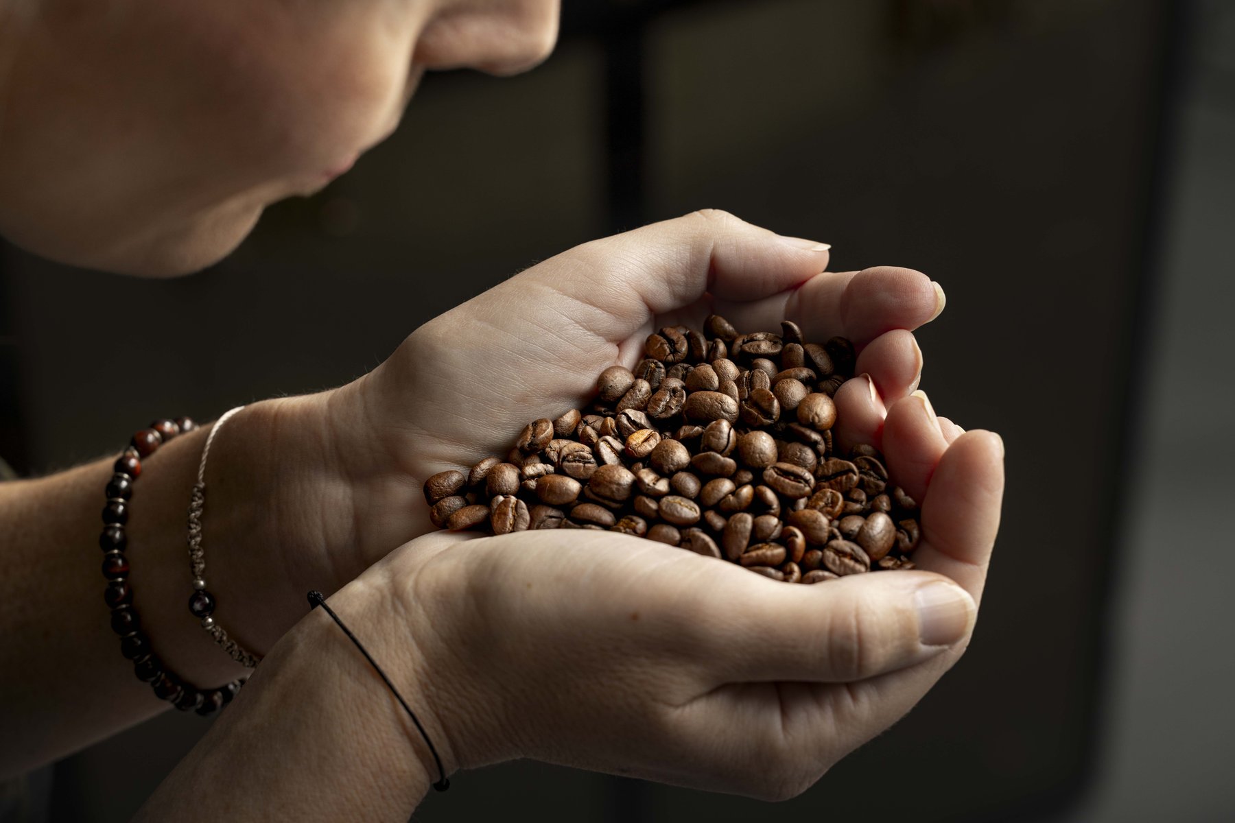 Hände mit dunkel gerösteten Kaffeebohnen zur sensorischen Prüfung