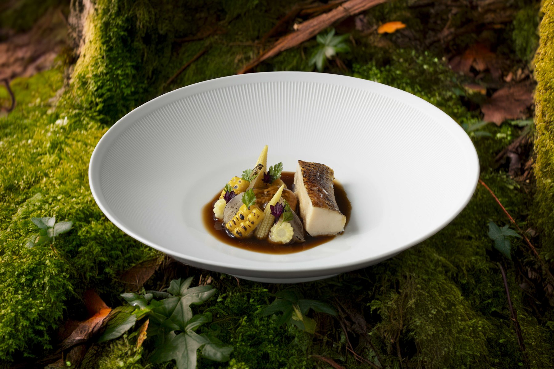 Signature Dish auf Moos-Untergrund – Fine-Dining-Fotografie