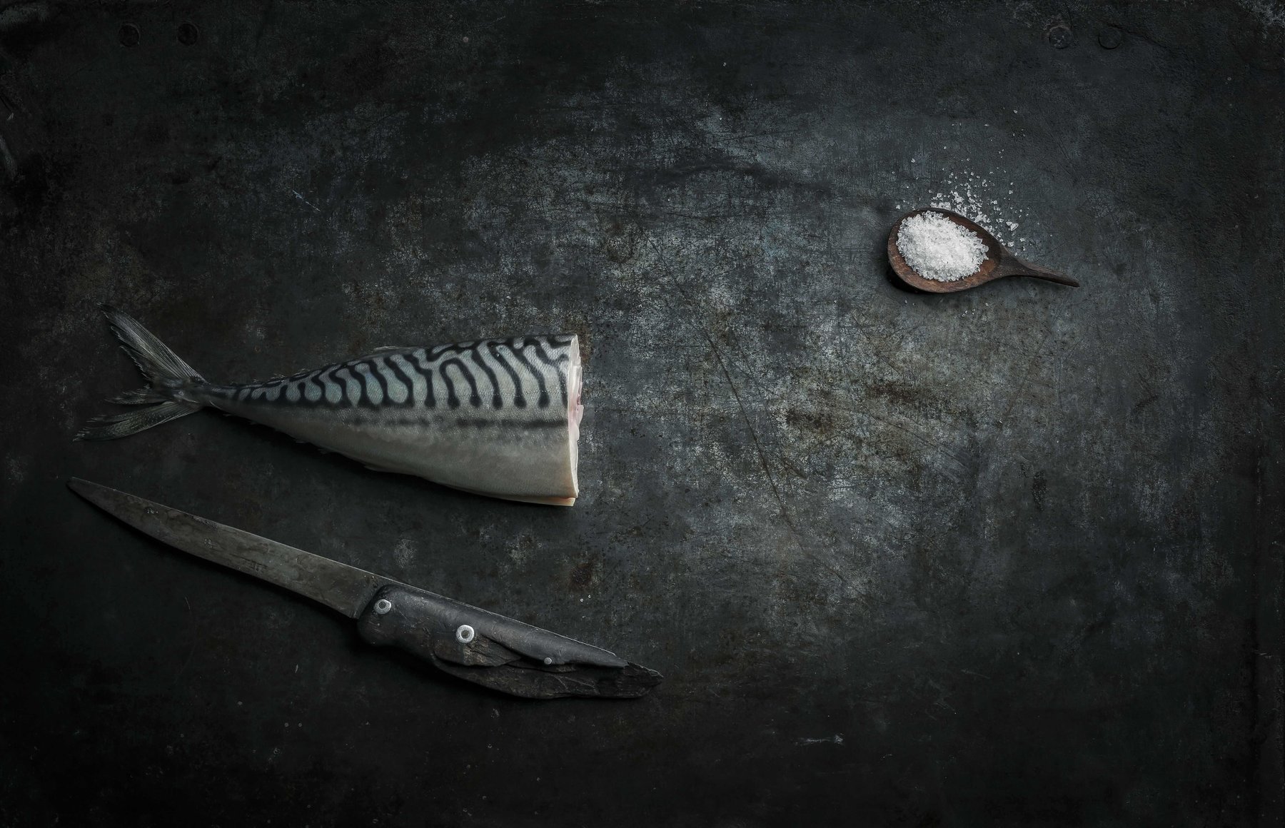 Puristische Food-Fotografie: Frische und Qualität von Fisch – ideal für Fischhandel und gehobene Bistro-Küche.