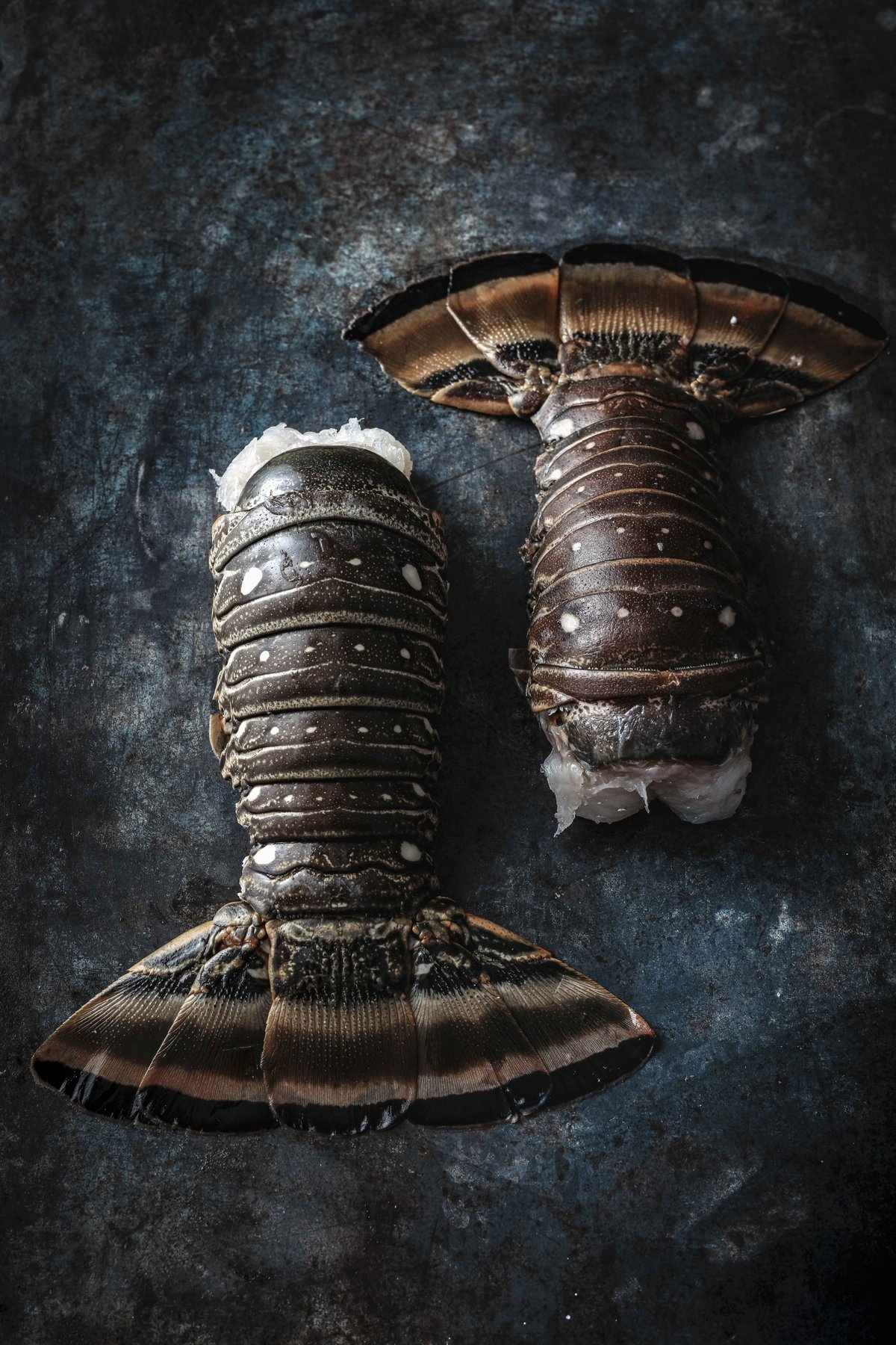 Detailaufnahme von Hummer – Foodfotografie mit Fokus auf Ästhetik und Qualität von Luxus-Lebensmitteln.