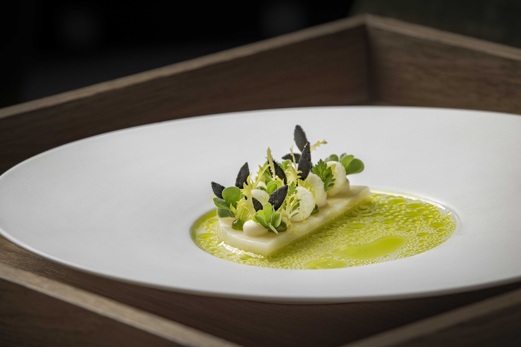 Präzises Anrichten mit Kräuter-Extrakten, lebendige Farben – hochwertige Foodfotografie für die gehobene Küche.