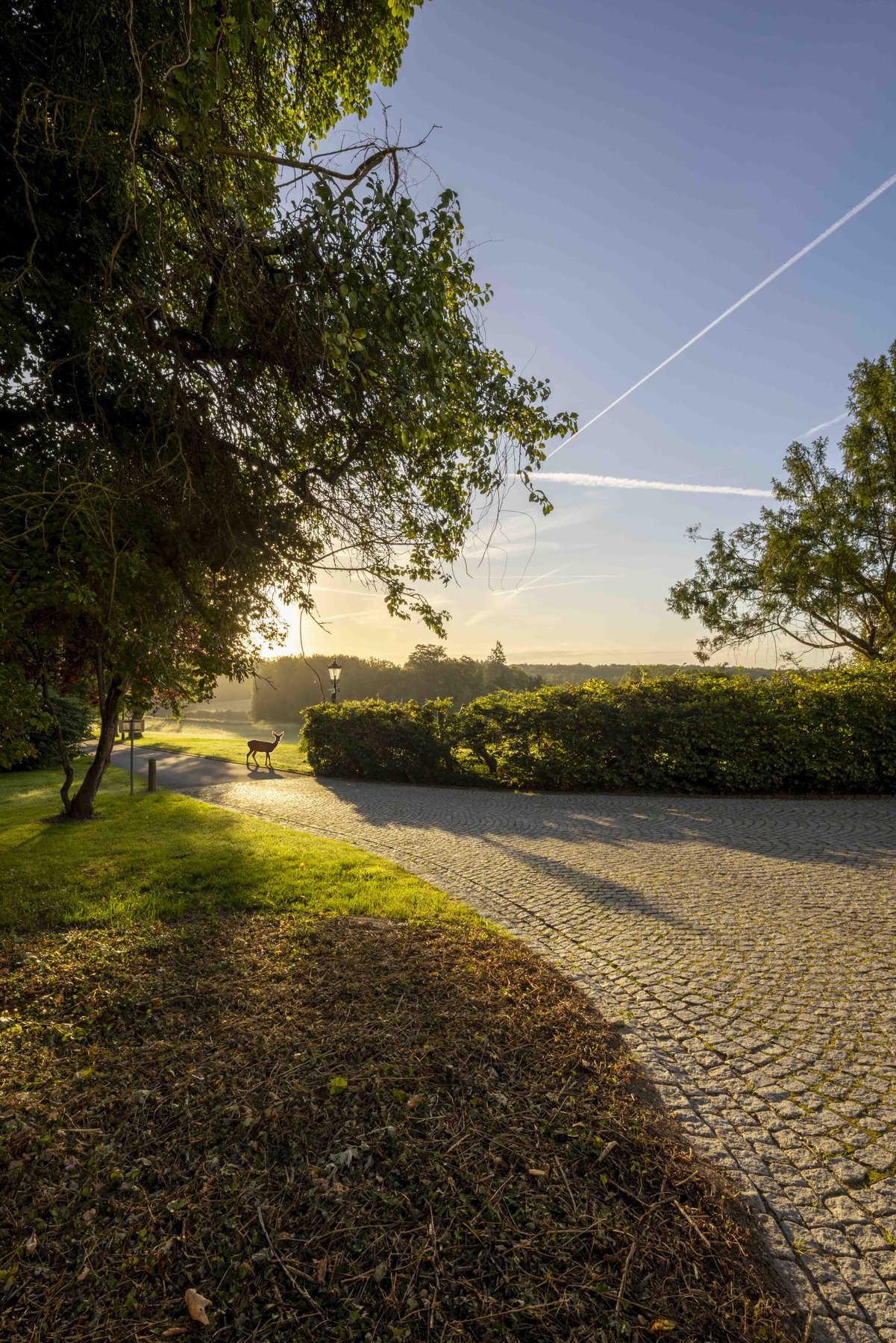 Lifestyle-Fotografie Mecklenburg-Vorpommern: Blick in den weitläufigen Schlosspark von Burg Schlitz.
