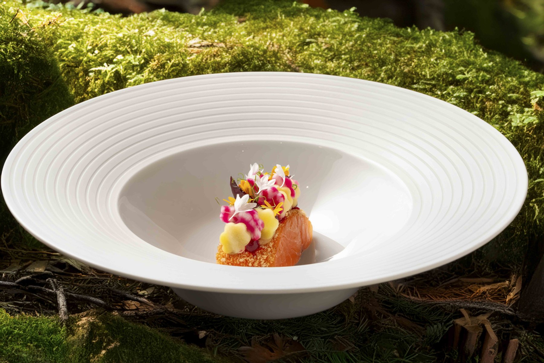 Kontrastreiche Inszenierung eines Gourmet-Gerichts in natürlicher Umgebung – High-End Foodfotografie für exklusive Restaurants.