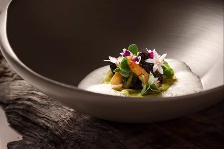 Gourmet-Teller mit Blütendekor und Schaum in heller Schale, Foodfotografie