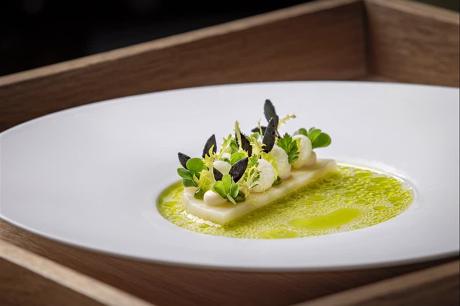 Fine-Dining-Gericht mit Kräuteröl auf weißem Teller